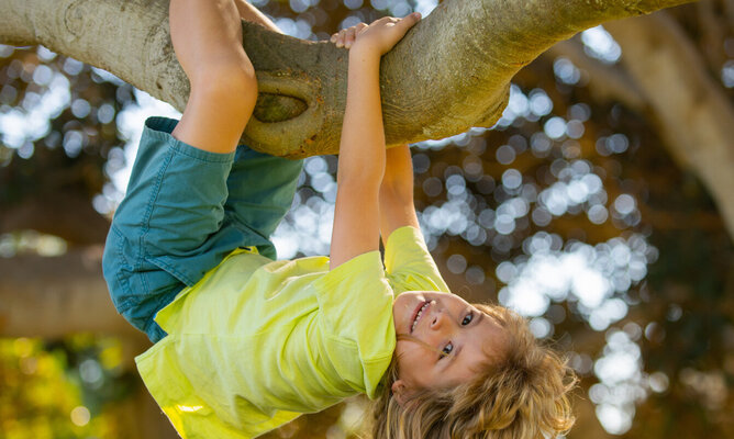Ein Kind klettern in einem Baum.