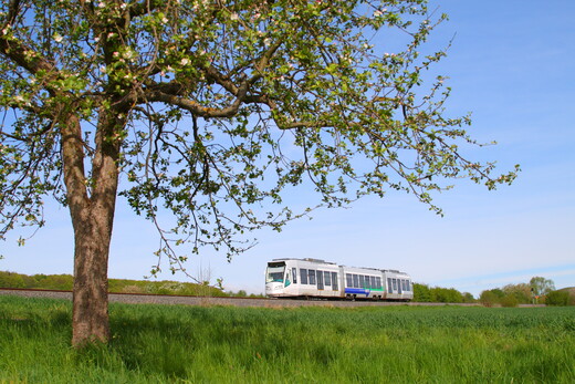 RT1 bei Fürstenwald Foto: NVV RT1 bei Fürstenwald Foto: NVV