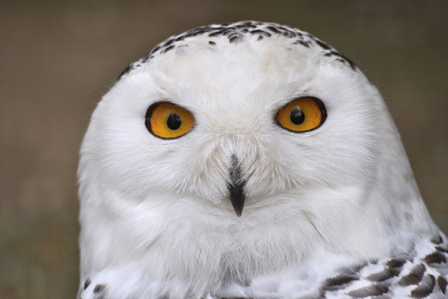 Foto: Elisabeth Lochner (Fotoarchiv Naturzentrum Wildpark Knüll)