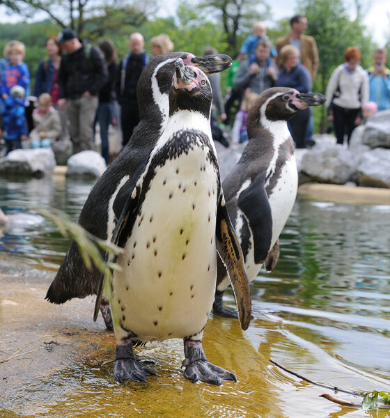 Foto: Tierpark Sababurg
