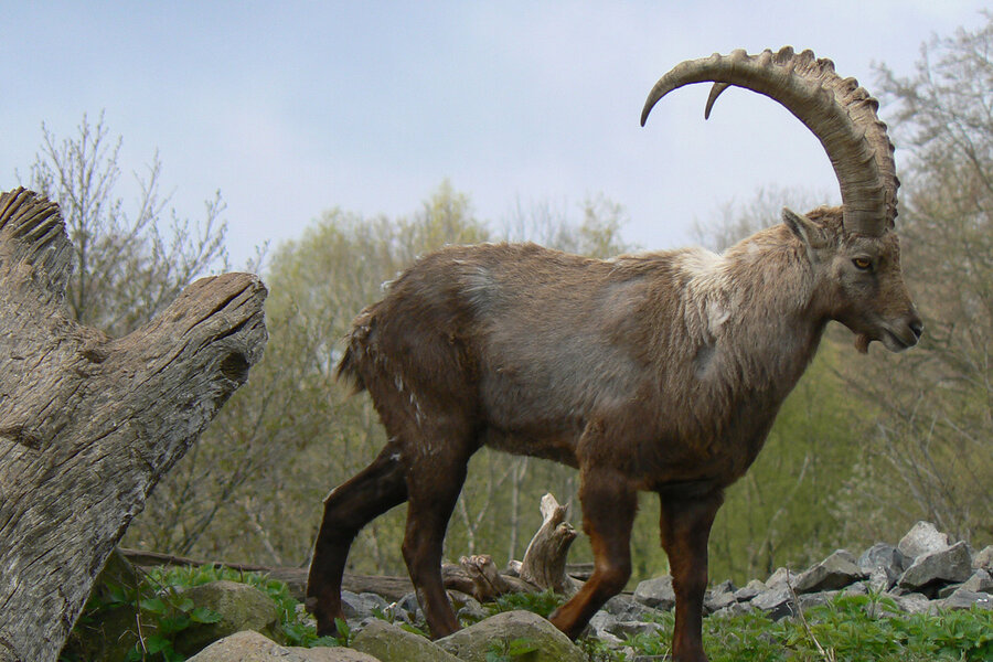 Foto: Geo-Naturpark Frau-Holle-Land / CC BY NC SA